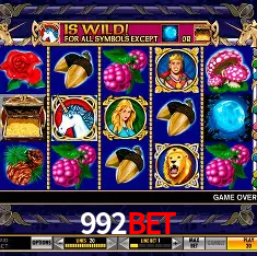 992bet Rio de Janeiro - Bonus Terms